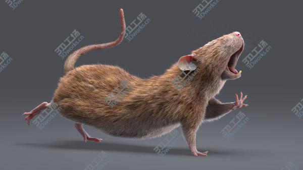 images/goods_img/20210312/Rat (Fur) (Rigged) (2) 3D model/2.jpg